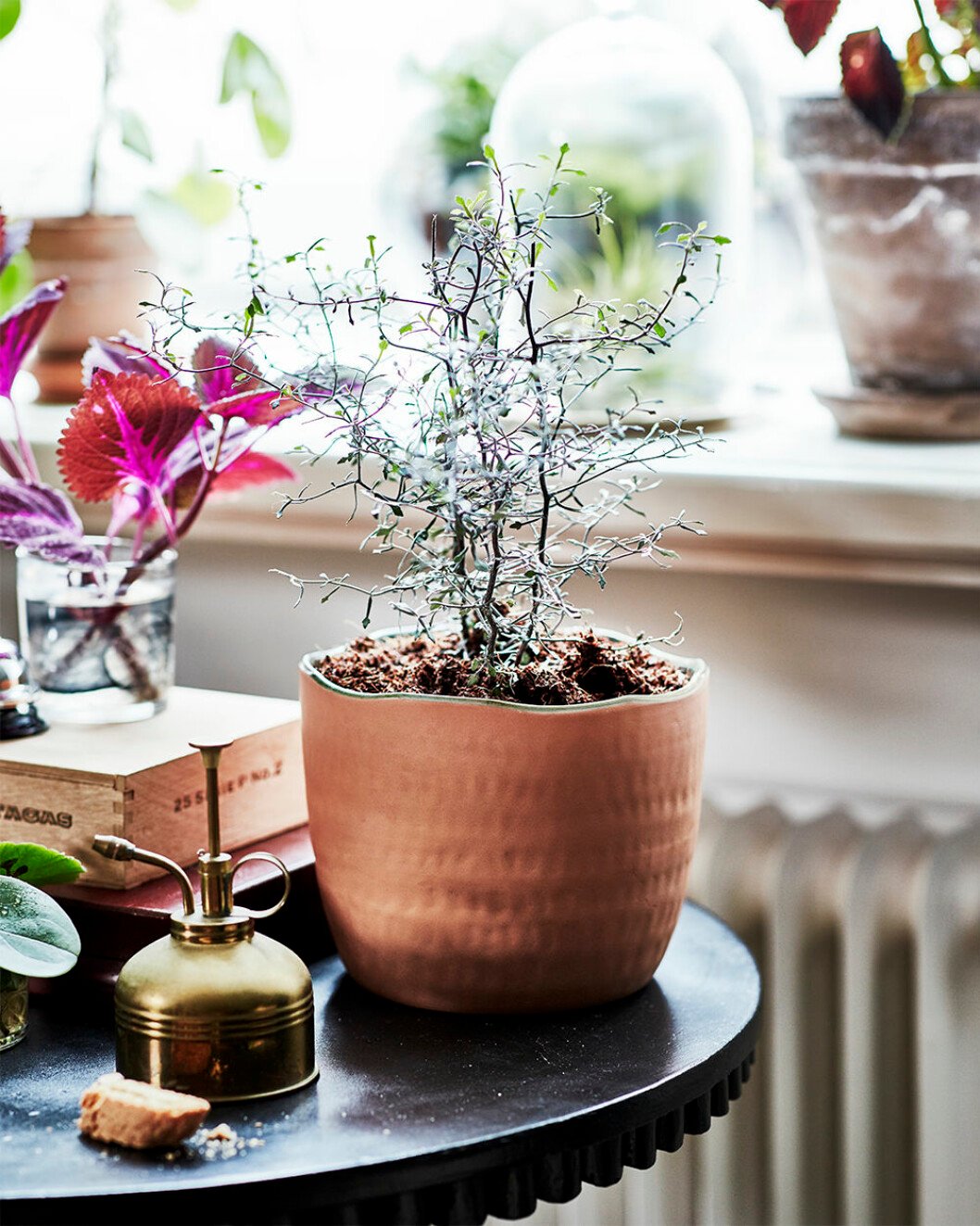 Handgjord kruka i rödlera från Ikeas kollektion Botanisk