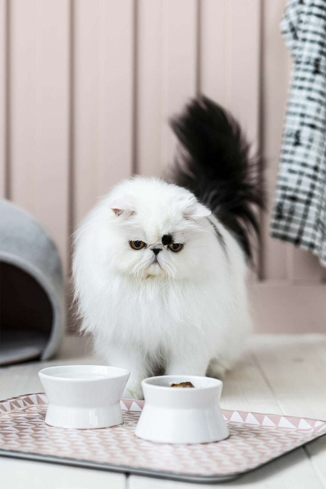 Kattmatskålar från Ikea