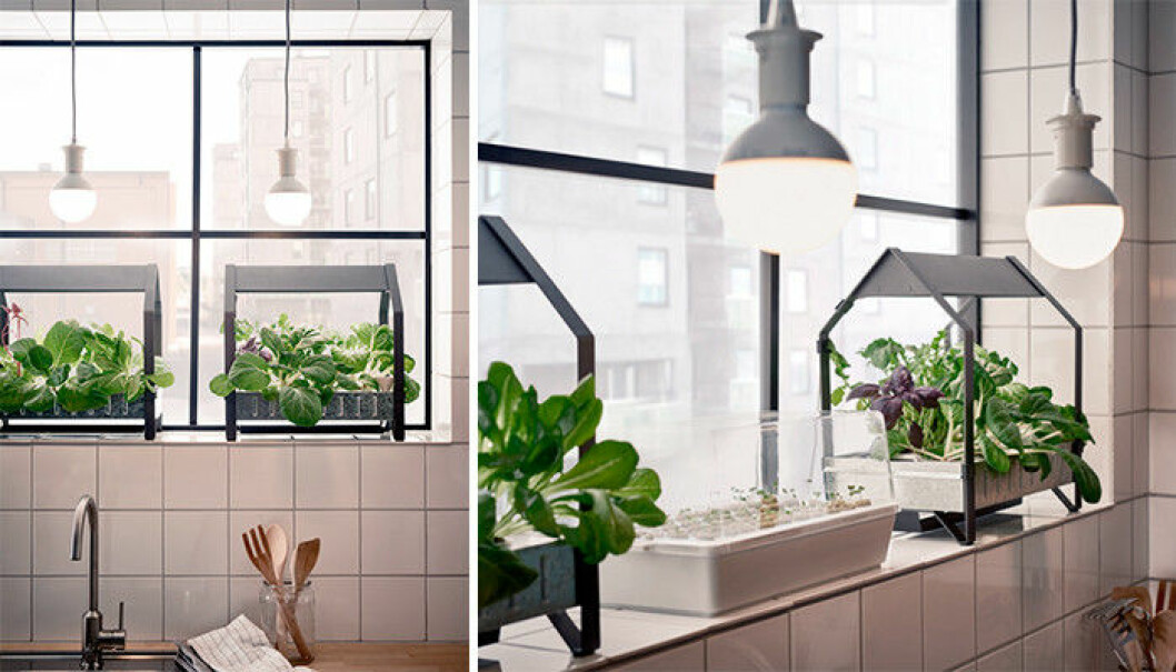 ikea-vaxtkarl-nyheter-