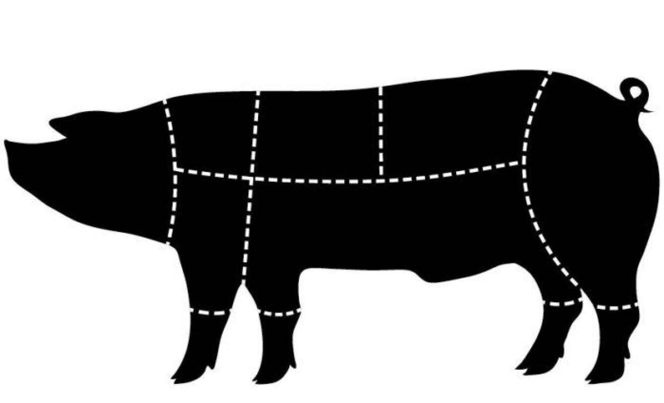 Svart siluett av gris