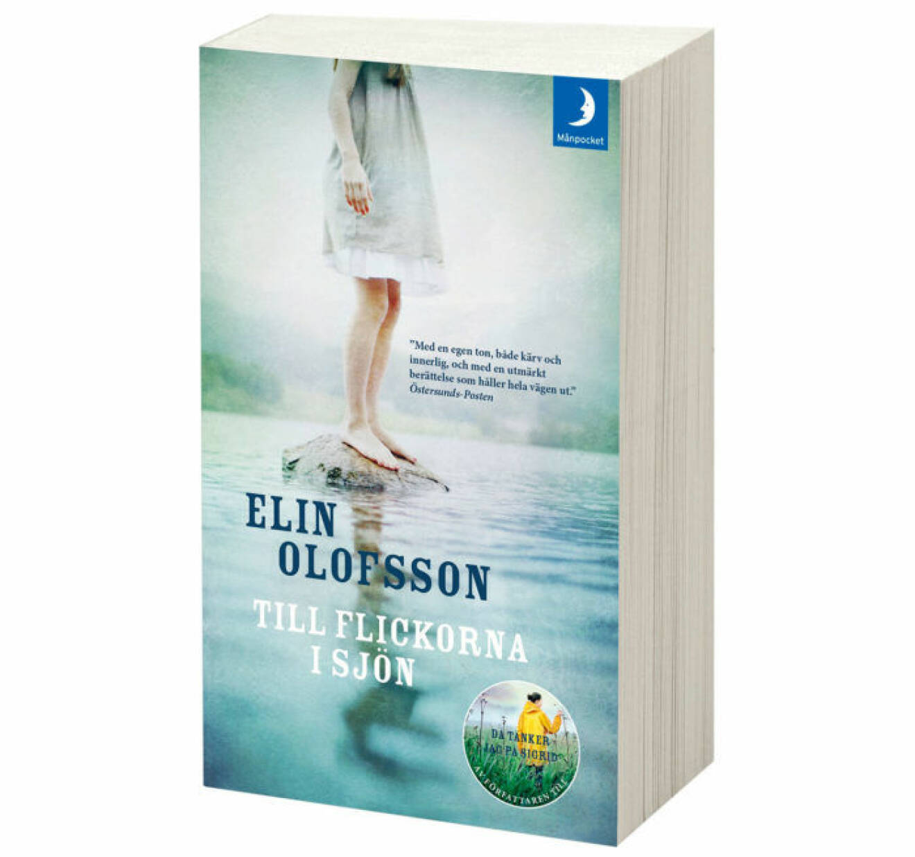 boken Till flickorna i sjön av Elin Olofsson