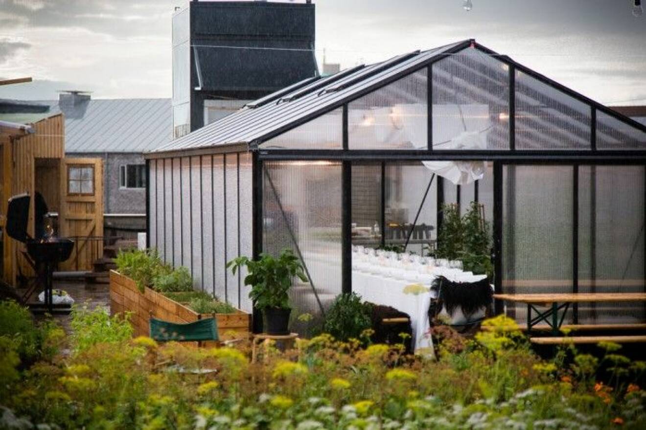 Stedsans-rooftop-garden-greenhouse-2