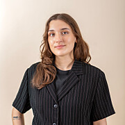 Lou Mikko
