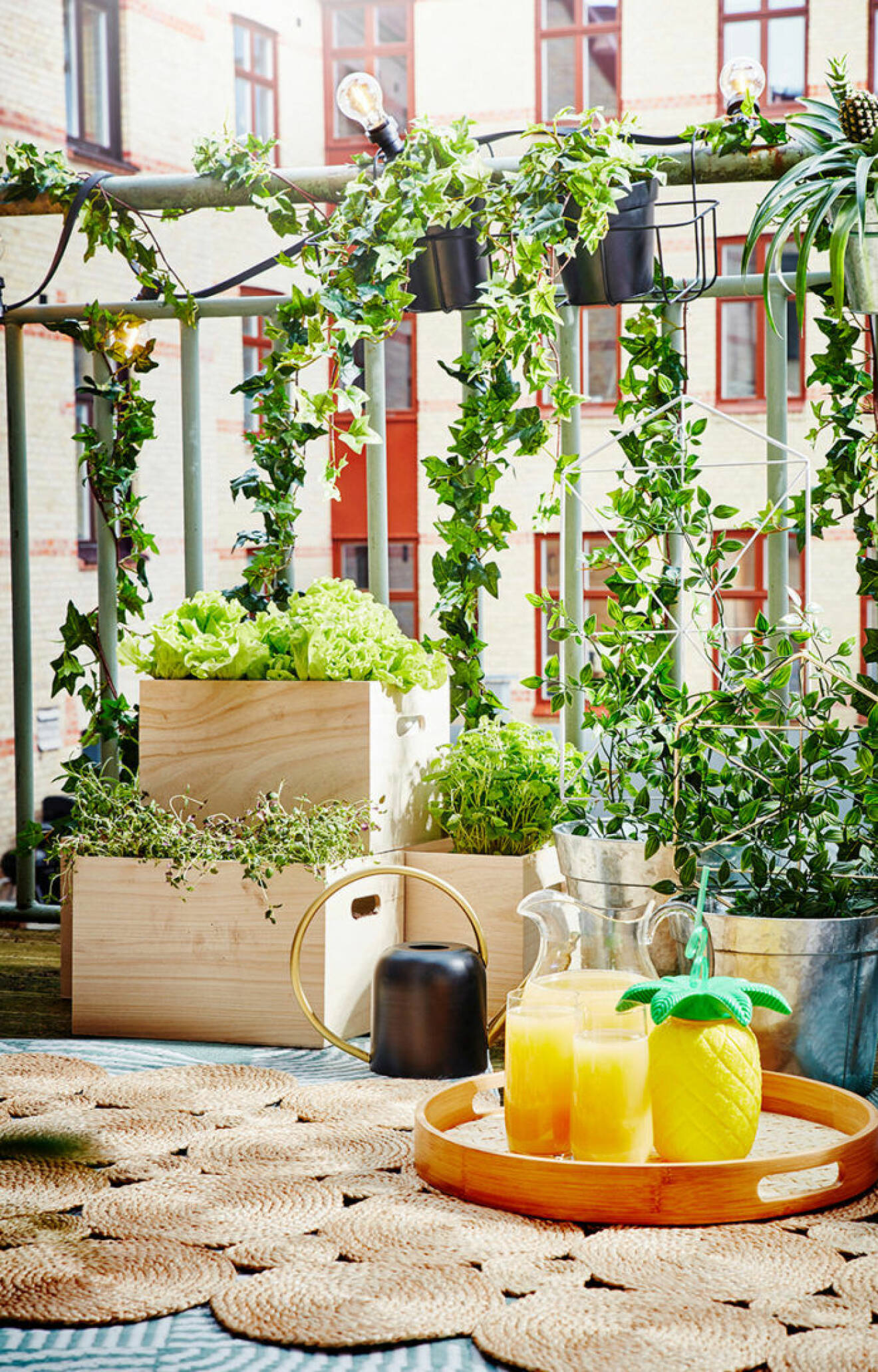 Summer balcony with rug, plants, herbs, vegetables and string lights.
