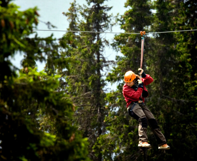 Zipline