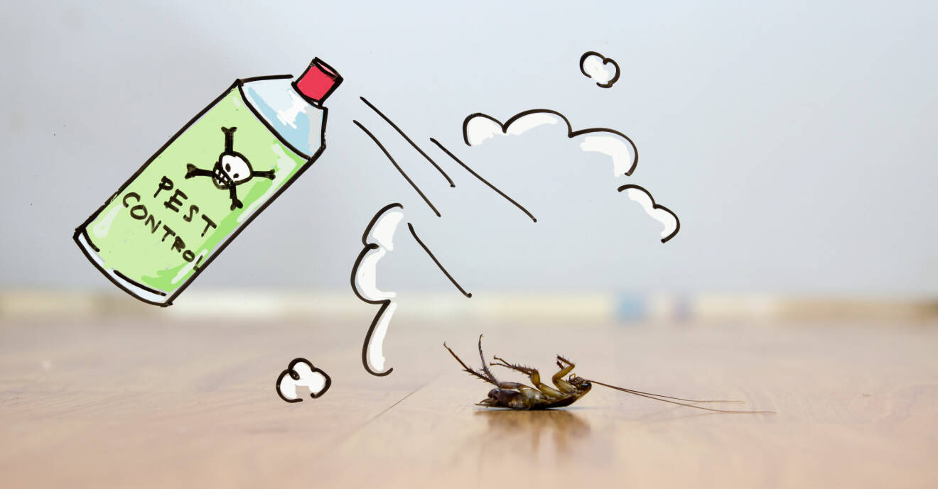 Sprayburk med gift som dödar insekt