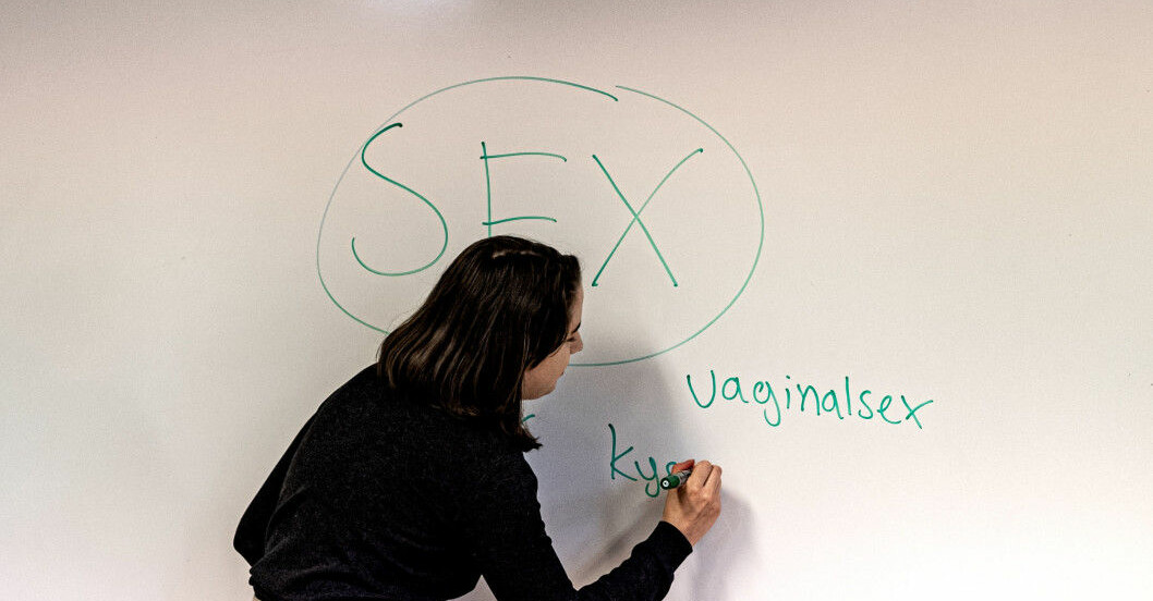 ”Barn och unga ska få en rimlig och bra bild av sex, man ska få det av skolan, inte av porrindustrin”, säger högskoleminister Matilda Ernkrans i SVT Morgonstudion.