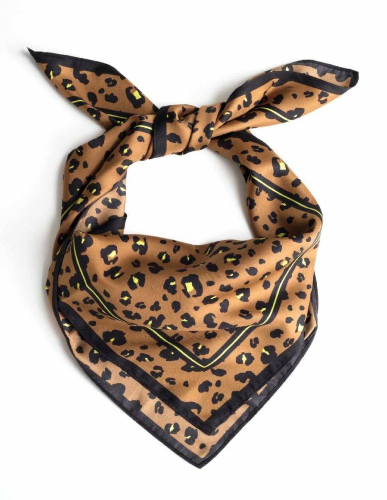 scarf-leopard-other-stories