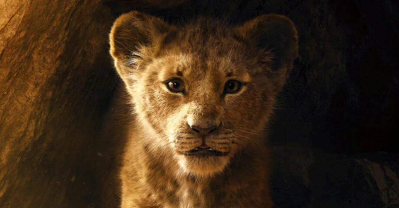 Nyversionen av ”Lejonkungen” från 2019 får en uppföljare, meddelar Disney.