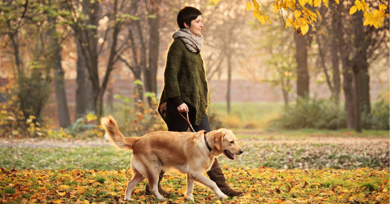 Kvinna med hund på promenad