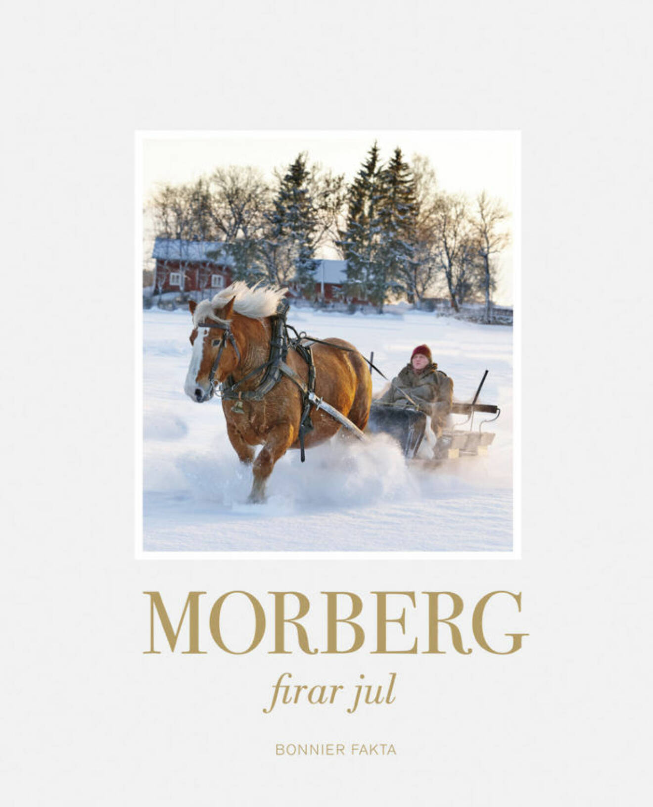 Morberg firar jul (Bonnier Fakta) Här hittar du julsalladen som vi bjuder på här!