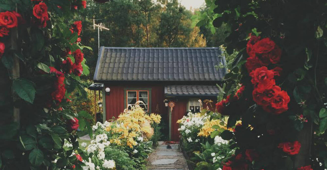 Röd stuga i Sverige
