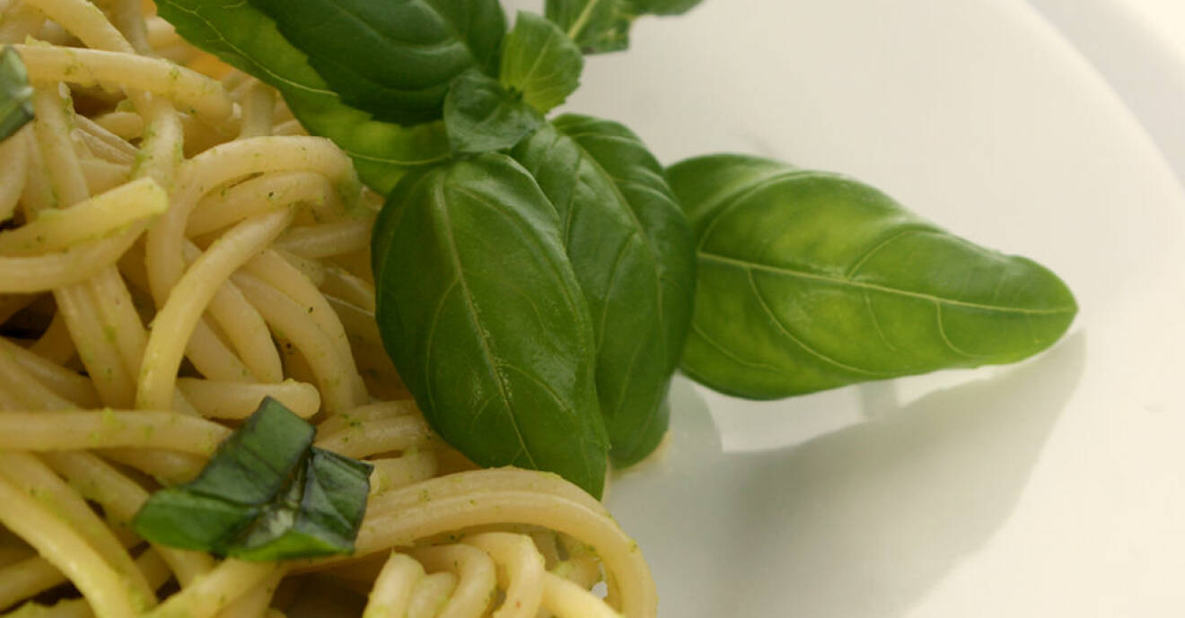 pasta med basilika på vit tallrik