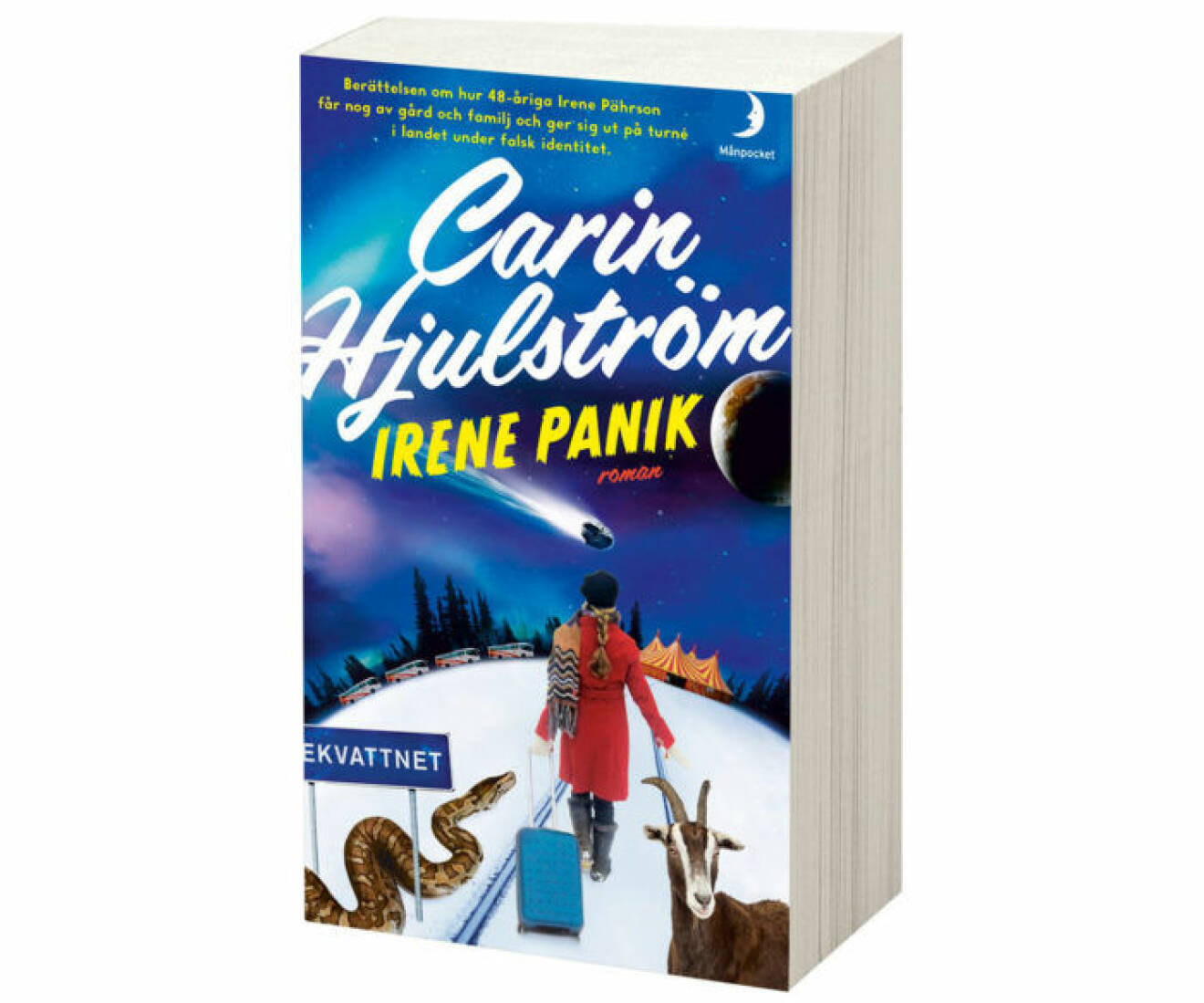 Omslag-boken-Irene-Panik
