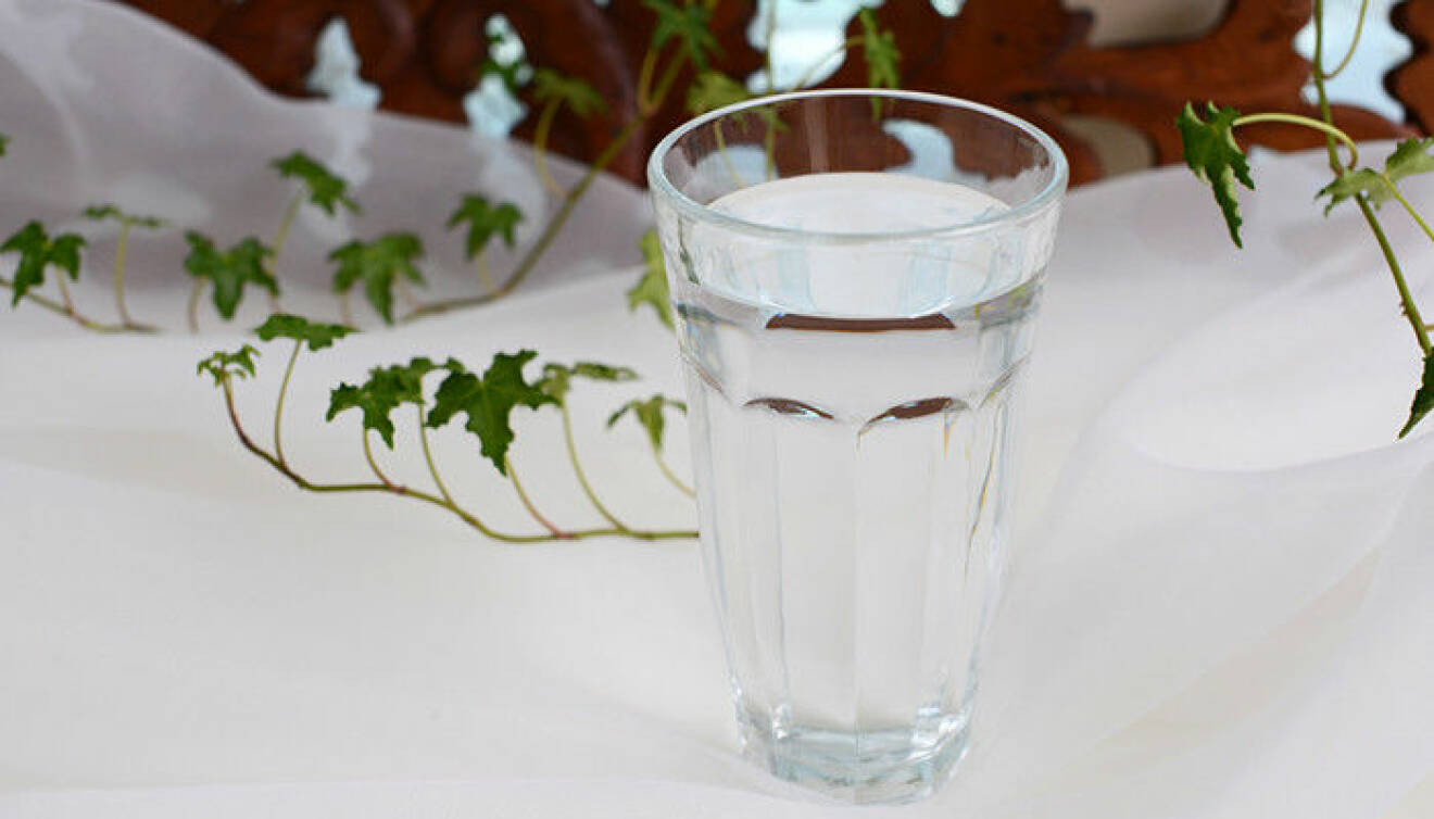 Ställ gärna ut ett vattenglas eller en skål över ett element under vintern. När vattnet dunstar höjs luftfuktigheten i rummet. Foto: Shutterstock