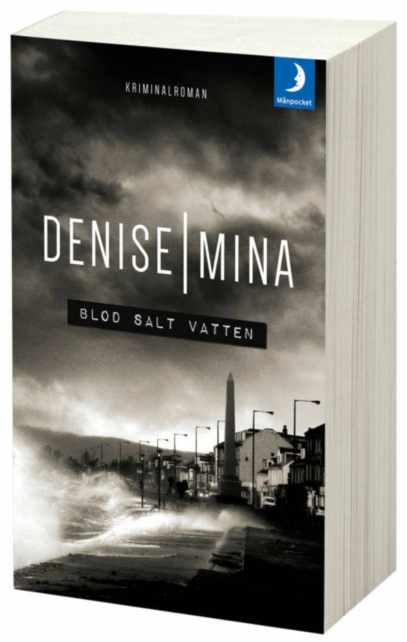 omslag-blod-salt-Denise-Minas
