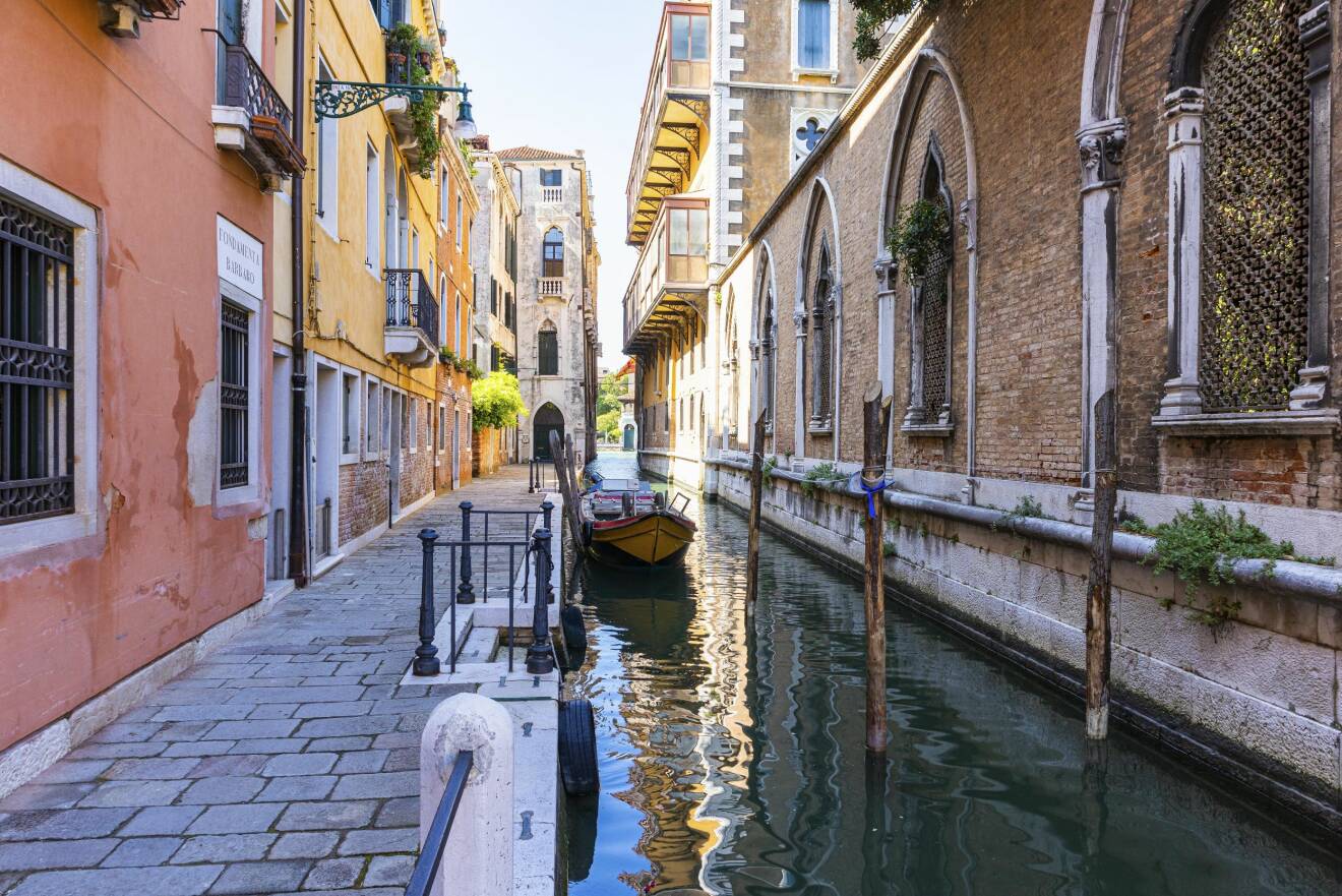 Inga delfiner i Venedig men väl stilla kanaler under corona