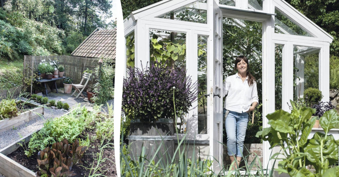 Lena och Peter Wallins inspirerande växthus