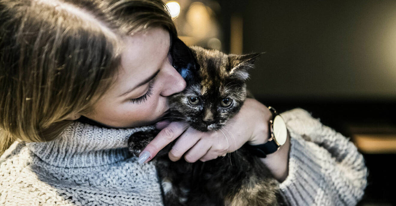 Elina Thorsell gosar med en katt på Sveriges första kattkafé Java Whiskers