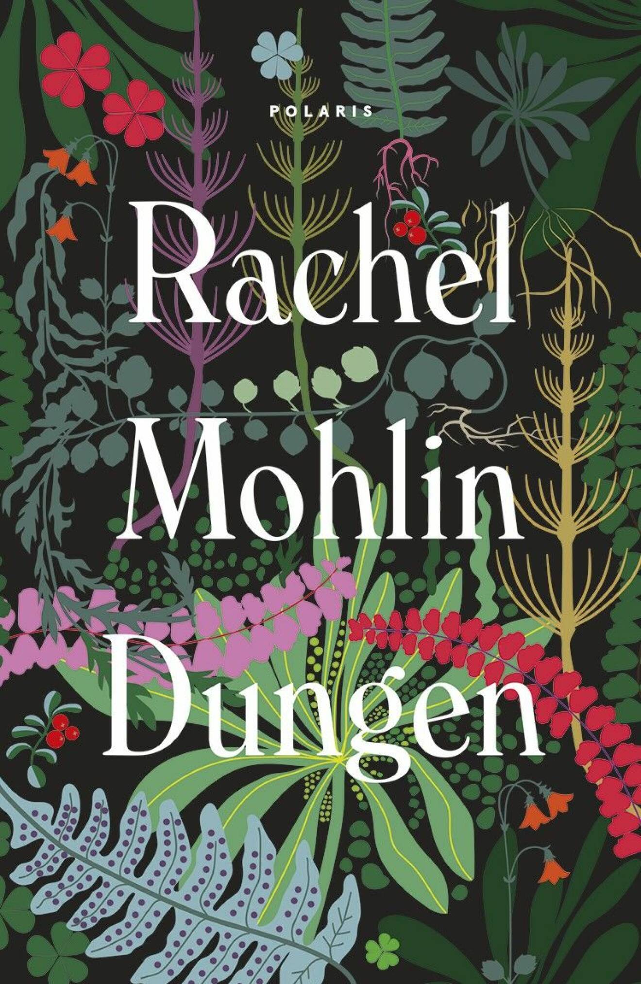 Dungen, roman av Rachel Mohlin