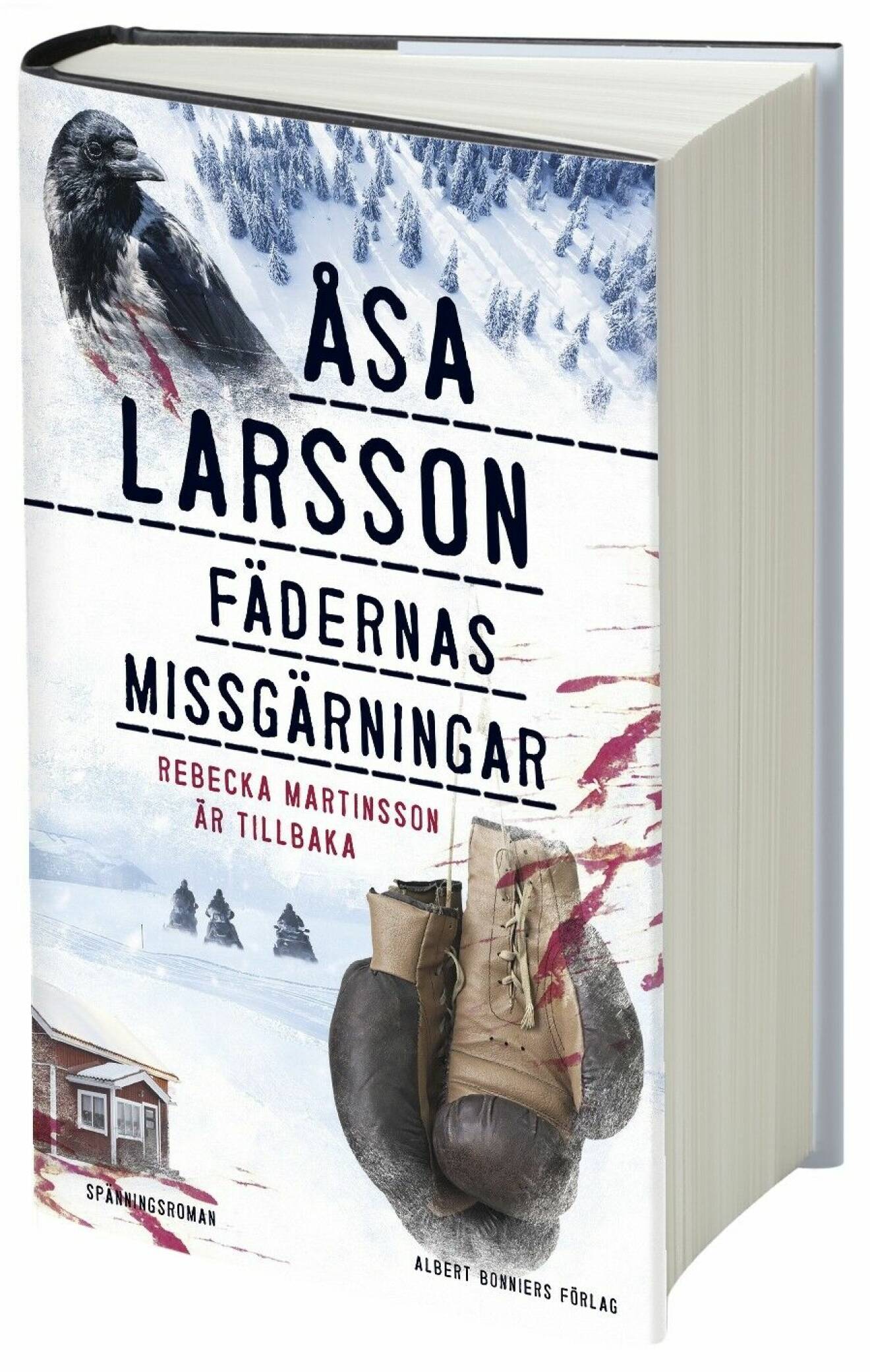 Bokomslag Fädernas missgärningar av Åsa Larsson