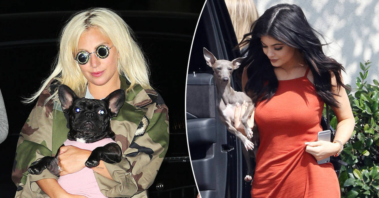 Lady Gaga och Kylie Jenner med sina husdjur