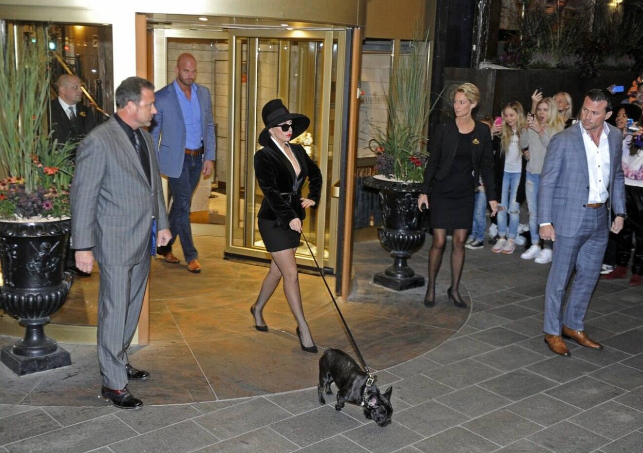 Lady Gaga med sin franska bulldog Asia