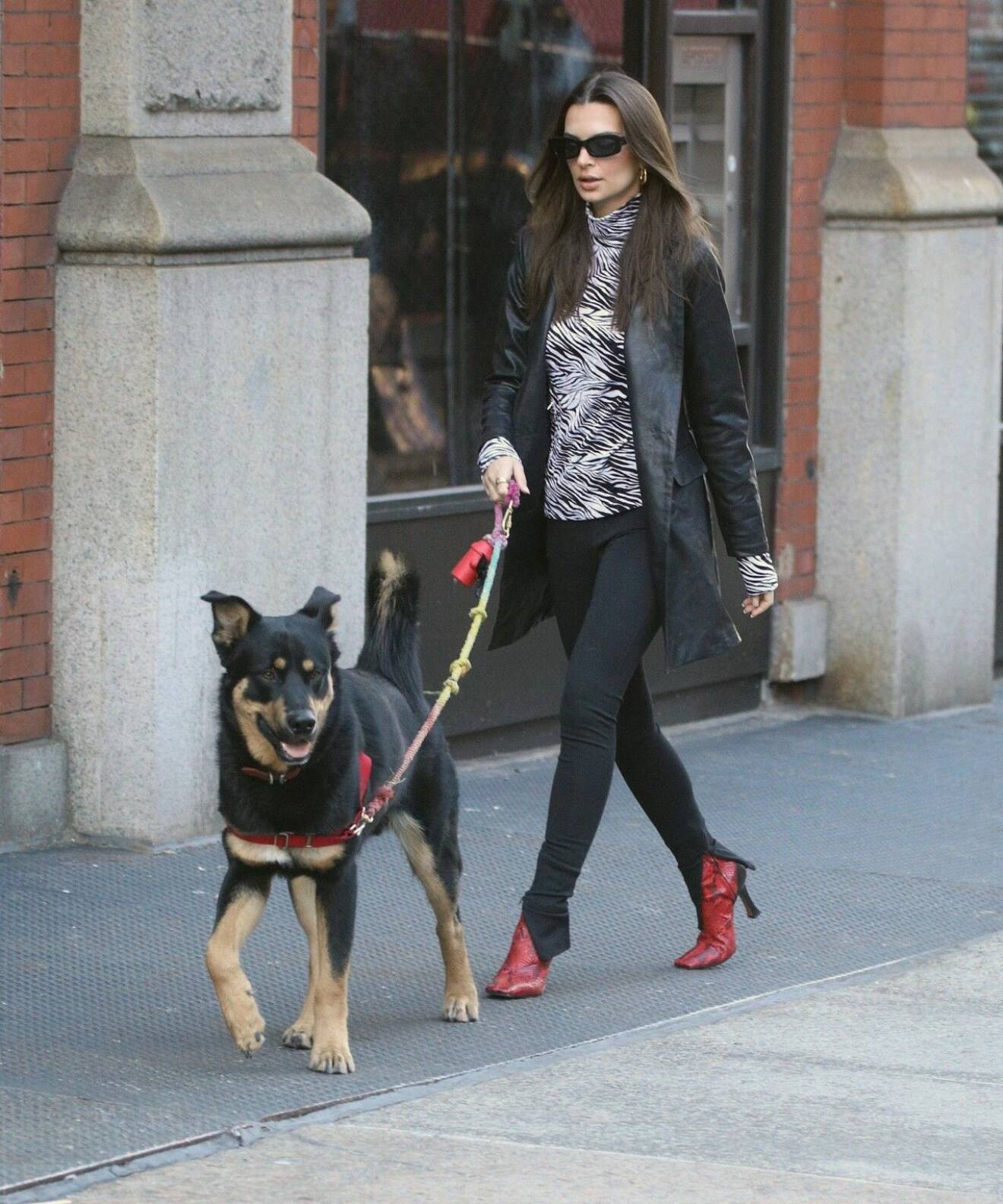 Emily Ratajkowski med sin hund Colombo