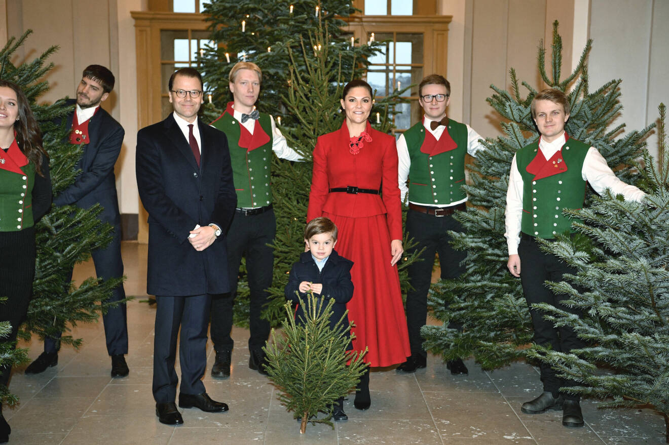 Prins Daniel, prins Oscar och kronprinsessan Victoria tar emot julgranar på Kungliga slottet.