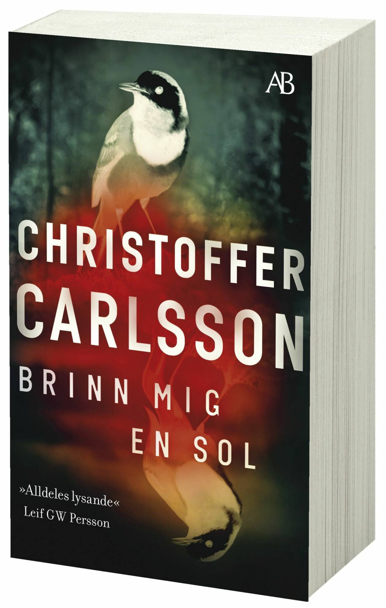 Brinn mig en sol av Christoffer Carlsson.