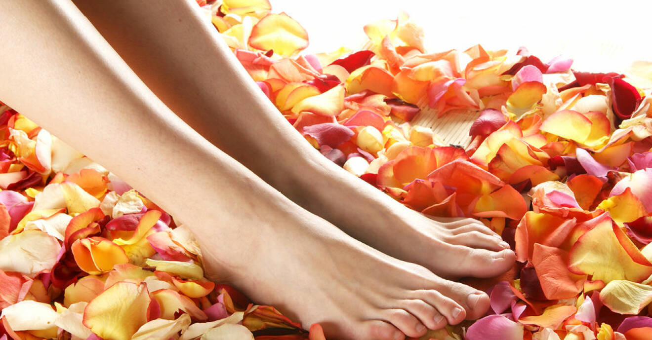 Fötter i ett bad av rosblad.