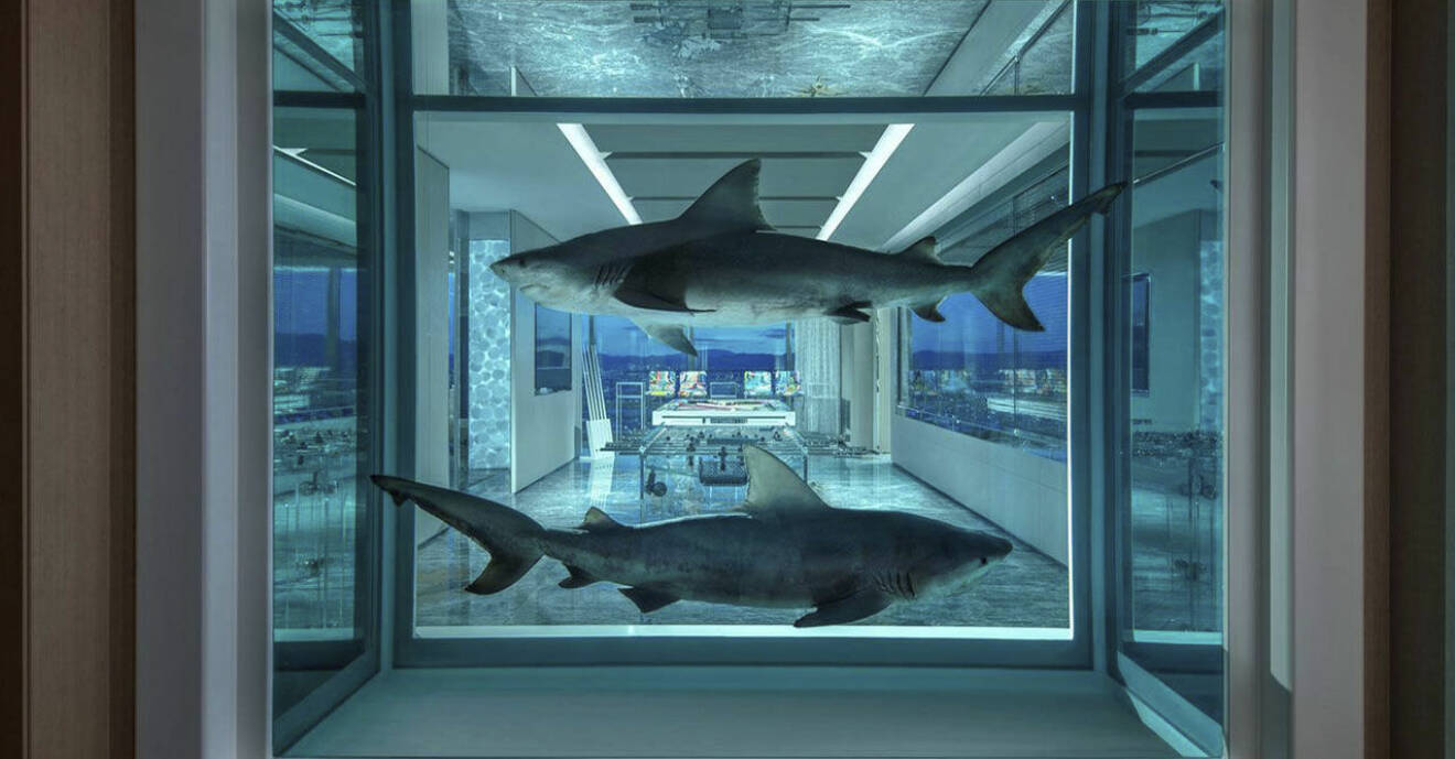 Ett verk av Damien Hirst med två konserverade hajar