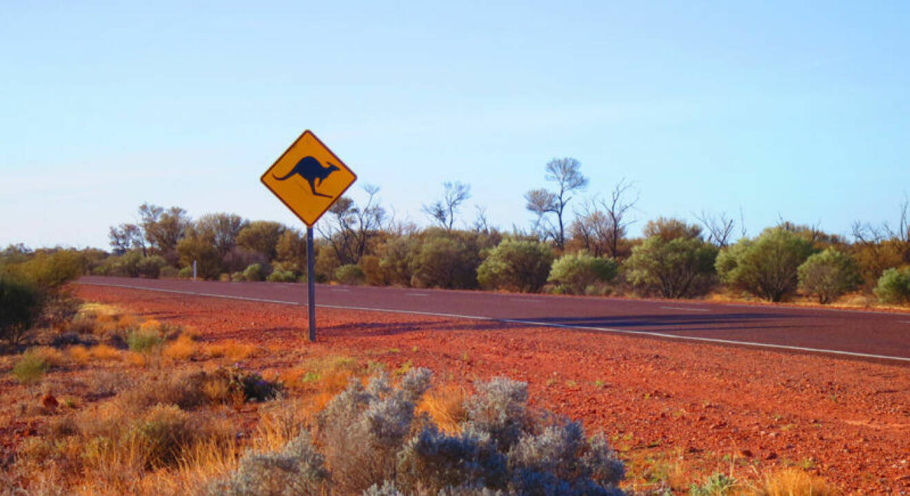 Australiensiska outbacken