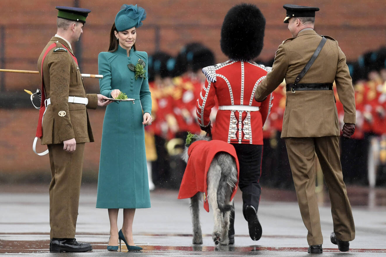 Kate Middleton på St Patrick's day.