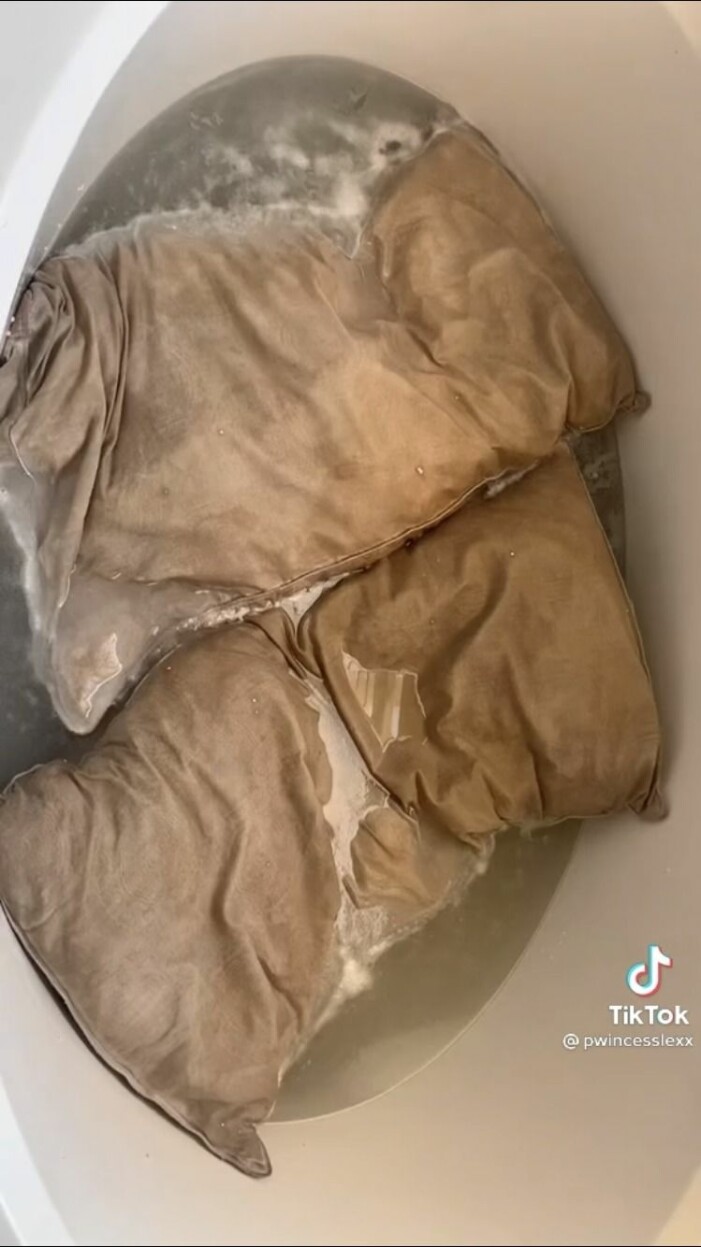 Kuddarna när Lexi lagt ner dem i vattnet.