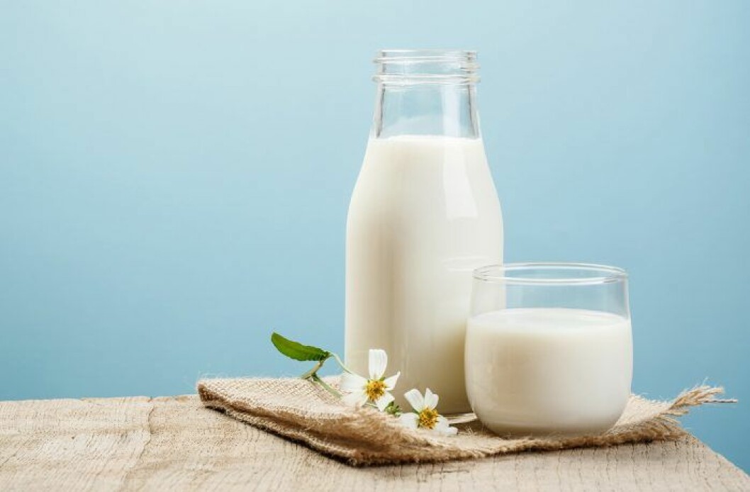 mjölk