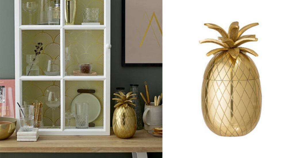 Ishink Ananas
