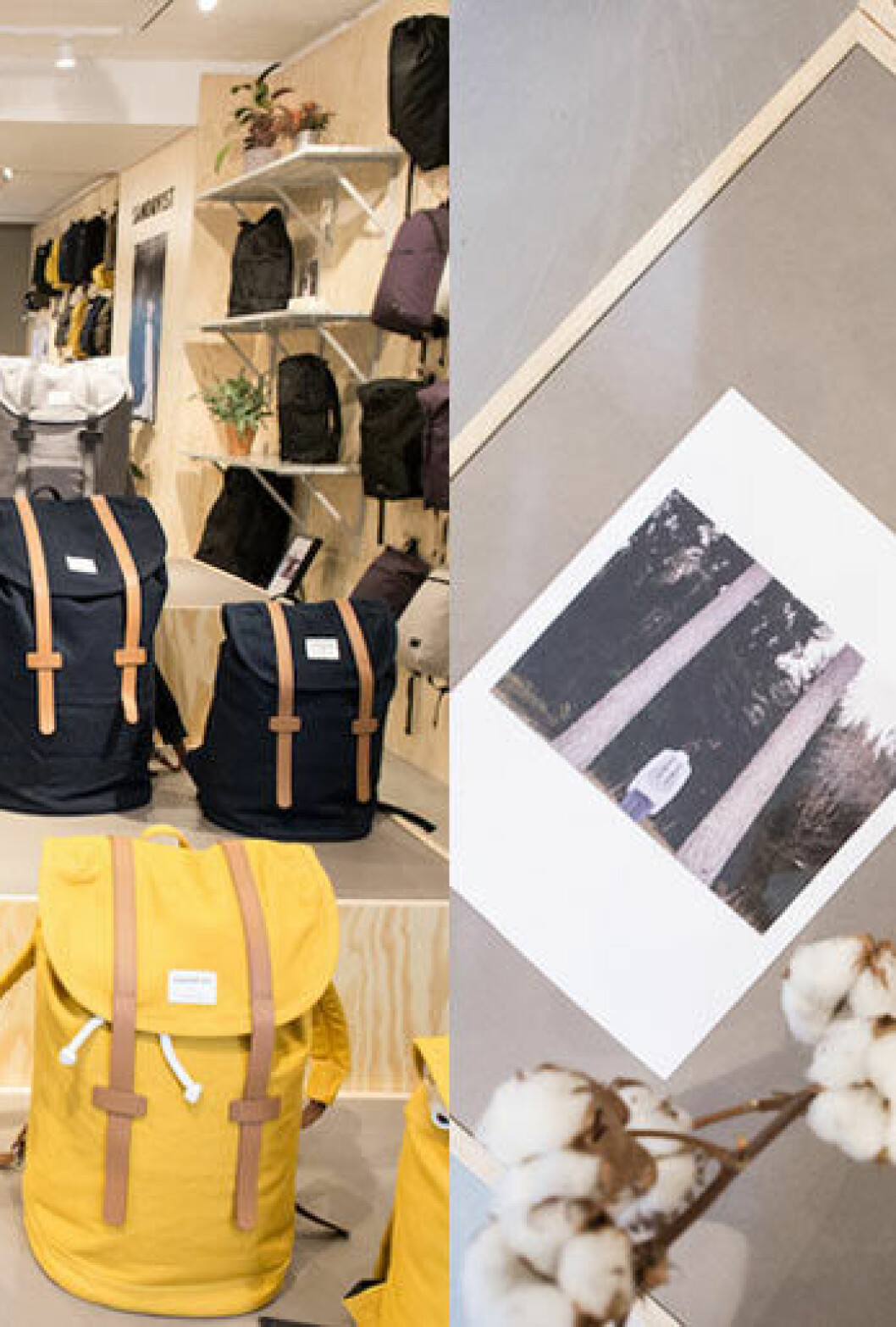 Bränd orange ger ett varmt gyllene intryck. Här är väggen målad i <em>11175 Adventure</em>. Foto: Line T. Klein Styling: Kråkvik & D’Orazio för Jotun Bränd gyllene orange väggfärg - 11175 Adventure från Jotun