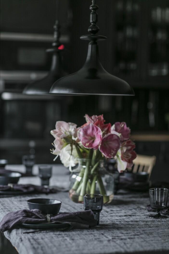 Julinredning amaryllis