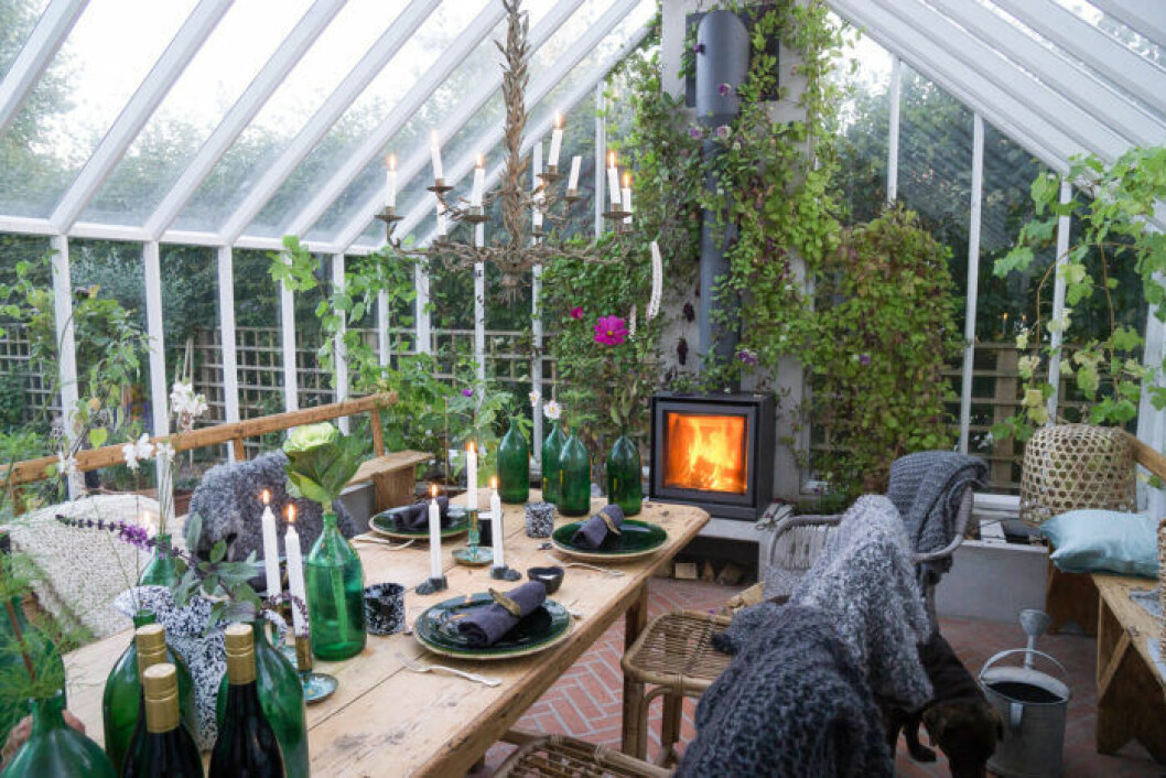 Foto: Anders Halfwordson, <a href="https://swedengreenhouse.se/" target="_blank" rel="noopener">Sweden Greenhouse</a> Mysigt växthus