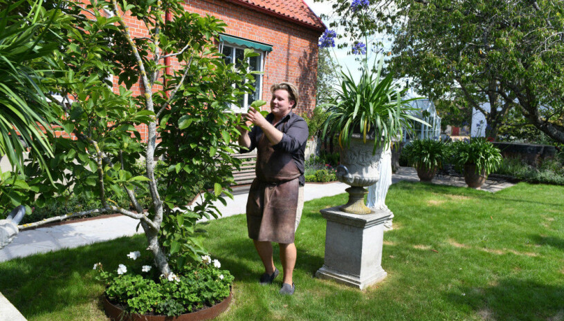 Karl Fredrik var inte riktigt beredd på vilket stort intresse tv-programmet skulle föra med sig. Men han tycker att det är härligt att få förmedla inspiration och trädgårdsglädje.
