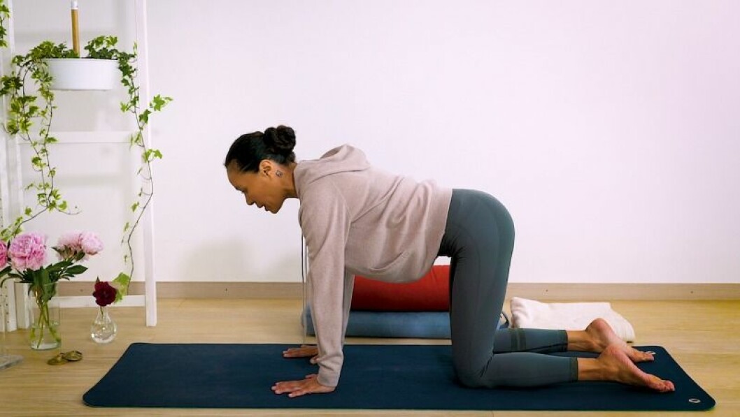 Johanna Ljunggren gör yogapositionen katt och ko