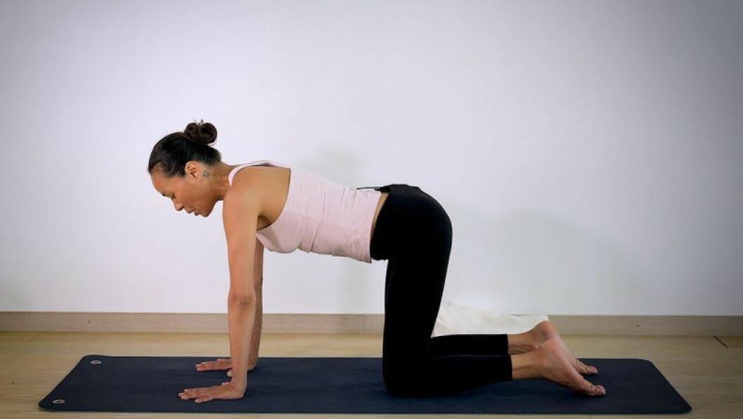 Johanna Ljunggren gör yogapositionen Katt och ko