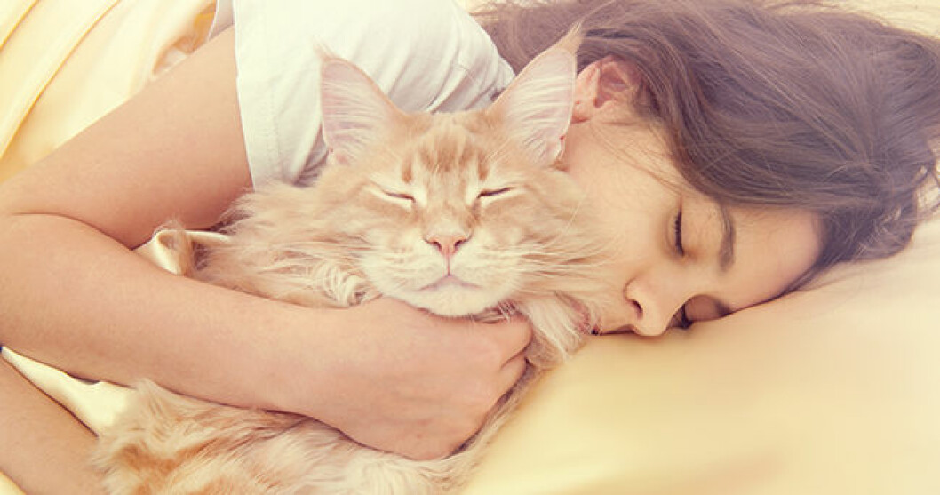 Foto: IBL/Shutterstock