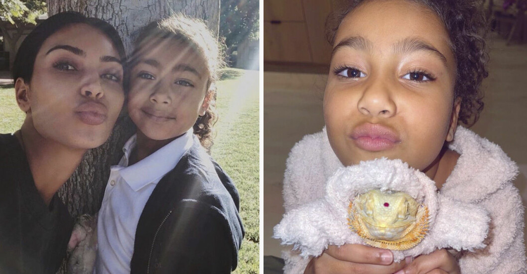 kim kardashian, north west och ödlan speed