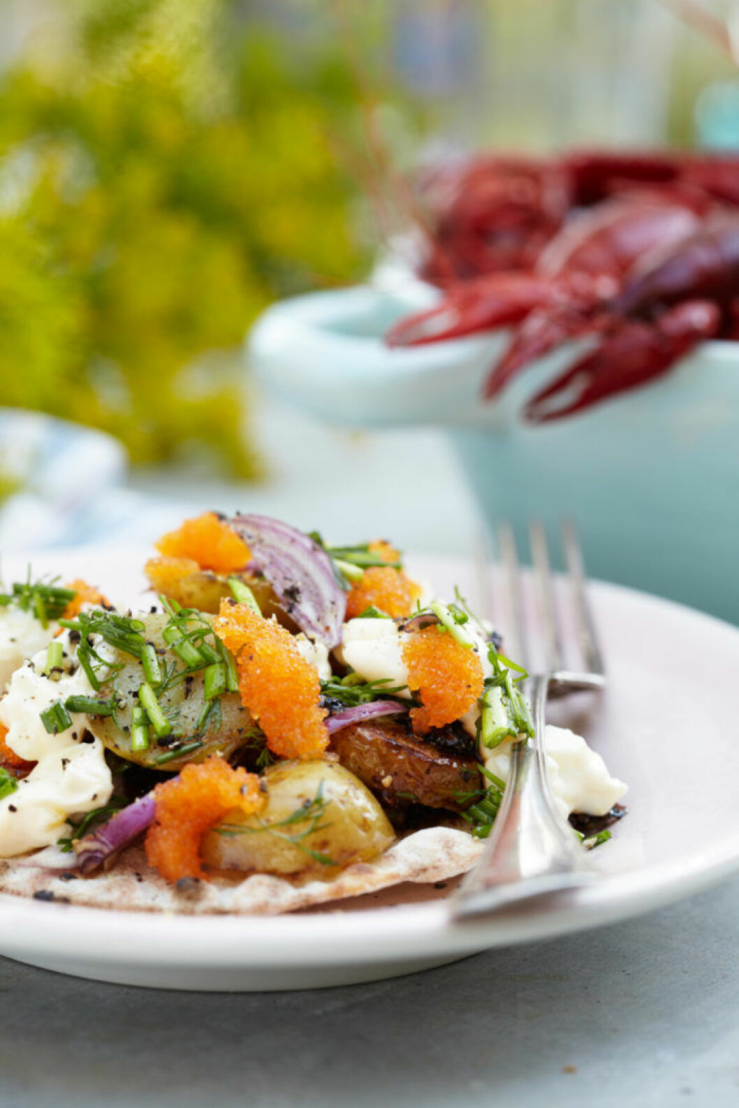 TOPPENGOTT.<br>Knäckemacka med sockerstekt potatis och annat gott på toppen. TOPPENGOTT. Knäckemacka med sockerstekt potatis och annat gott på toppen.