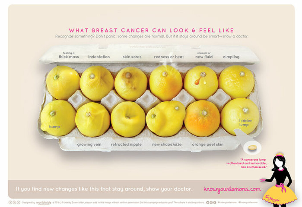 <em>Foto: Worldwide Breast Cancer</em> knowyourlemons