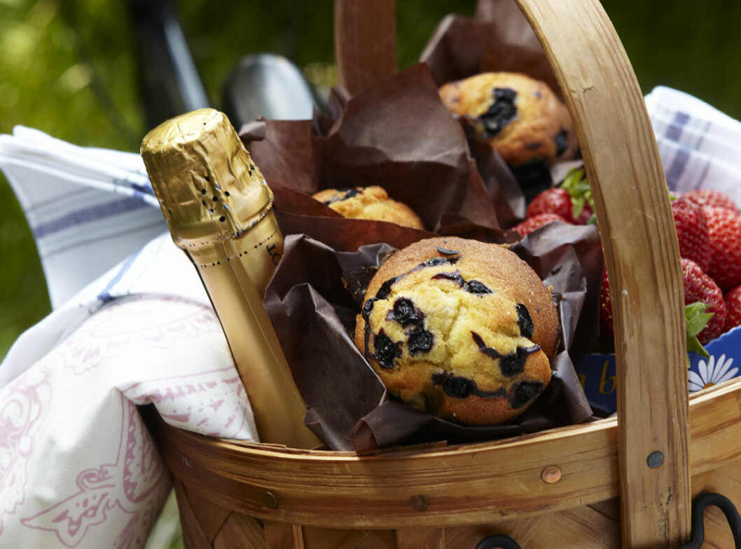Fantastiskt goda blåbärsmuffins korg på cykel med blåbärsmuffins och champagne