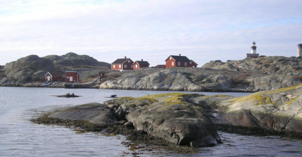 Koster är Petters ställe på jorden. <em>Foto: TT</em> Kosteröarna