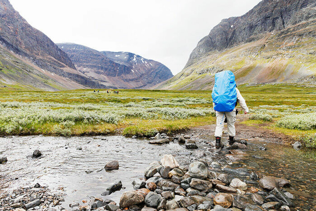 Den svenska vandringsleden Kungsleden bjuder besökarna på otrolig natur. Foto: Marie Linnér/Scandinav/TT En bild från den svenska vandringsleden Kungsleden i Lappland.